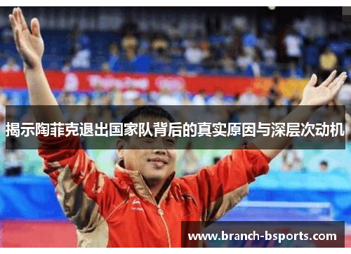 揭示陶菲克退出国家队背后的真实原因与深层次动机