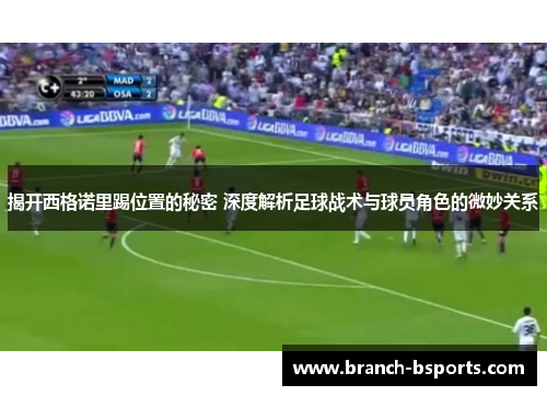 揭开西格诺里踢位置的秘密 深度解析足球战术与球员角色的微妙关系