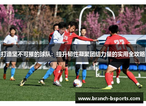 打造坚不可摧的球队：提升韧性凝聚团结力量的实用全攻略