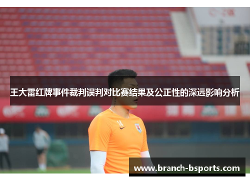 王大雷红牌事件裁判误判对比赛结果及公正性的深远影响分析