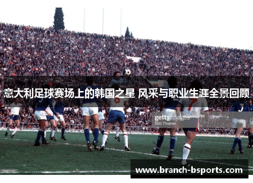 意大利足球赛场上的韩国之星 风采与职业生涯全景回顾