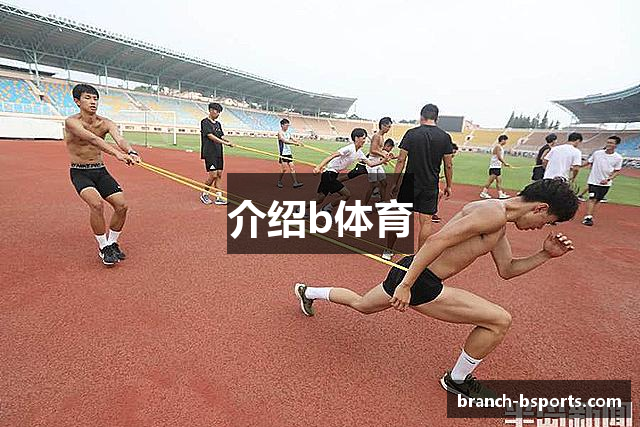 介绍b体育